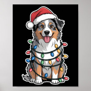 Australian Shepherd Wrapped In Christmas Lights Poster