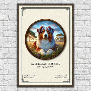 Australian Shepherd Zoology Series Poster