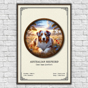 Australian Shepherd Zoology Series Poster