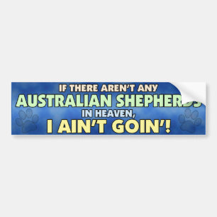 Australian Shepherds in Heaven Bumper Sticker