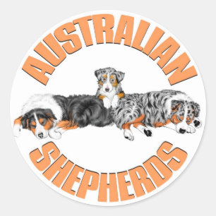 Australian Shepherds Sticker
