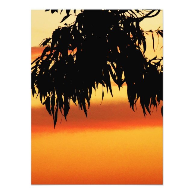Australian Silhouette Sunset Photo (Front)
