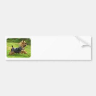 Australian Silky Terrier design Bumper Sticker