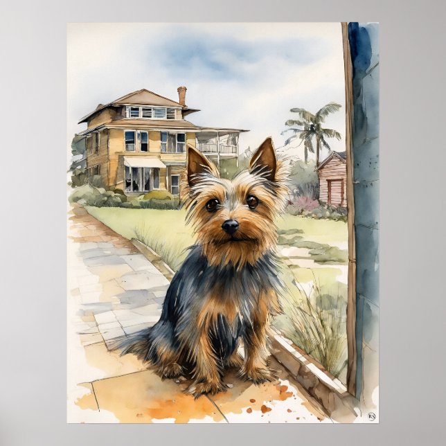 Australian Silky Terrier - Dog Art Print (Front)