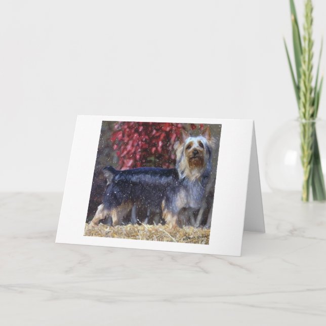 Australian Silky Terrier Dog Blank Greeting Card (Front)