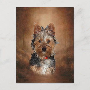Australian Silky Terrier Postcard