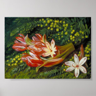 Australian Spear Lily  Acacia - Marianne North Poster