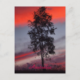 Australian stormy sunset postcard