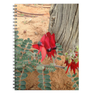 Australian Sturt's Desert Pea notebook