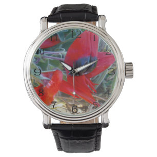 Australian Sturts Desert Pea,  Watch