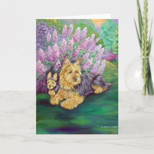 Australian Terrier Greeting Cards
