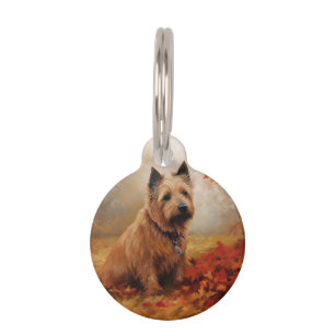 Australian Terrier in Autumn Leaves Fall Inspire Pet Tag