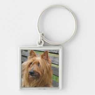 australian terrier on bench.png key ring