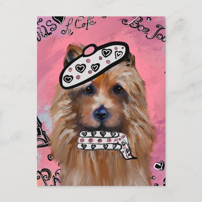 Australian Terrier     Postcard (Front)