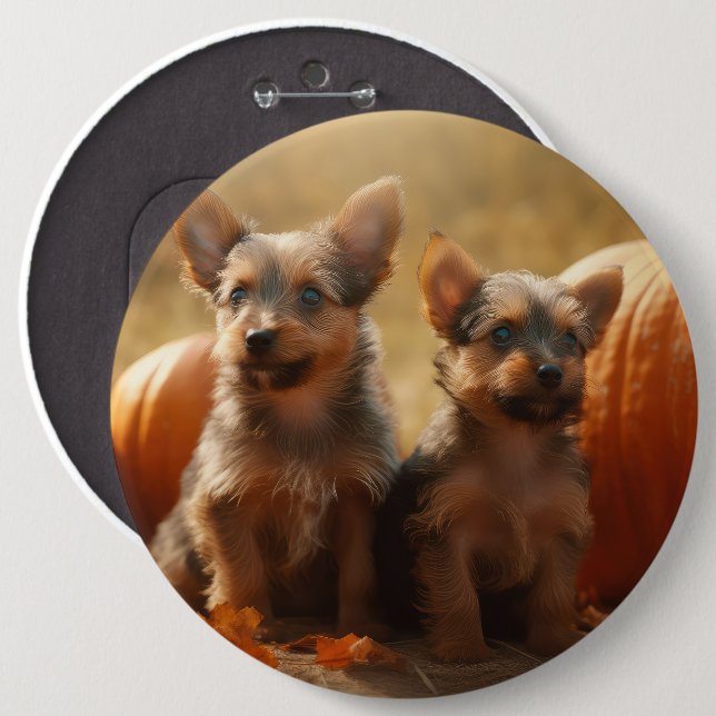 Australian Terrier Puppy Autumn Delight Pumpkin 6 Cm Round Badge (Front & Back)
