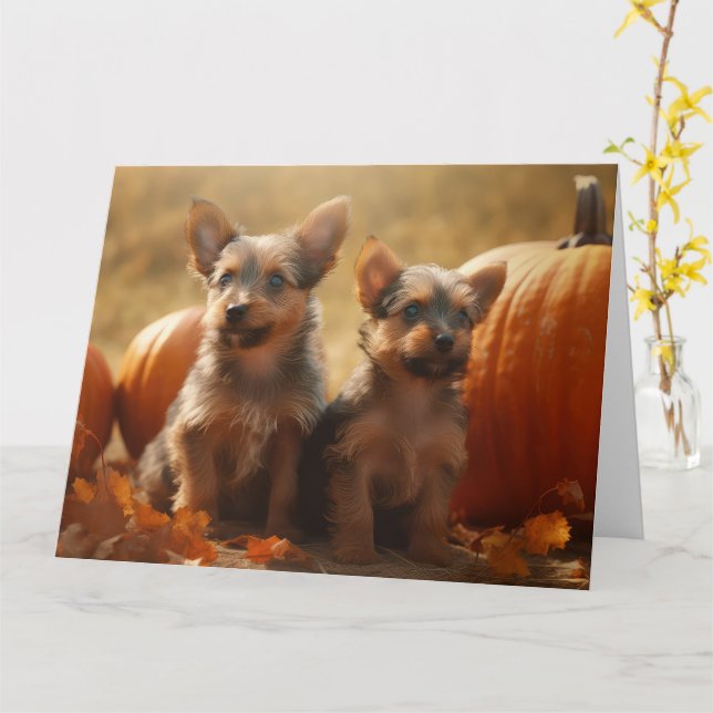 Australian Terrier Puppy Autumn Delight Pumpkin Card (Yellow Flower)