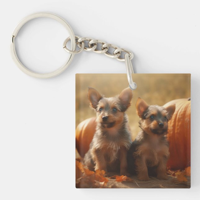 Australian Terrier Puppy Autumn Delight Pumpkin Key Ring (Front)