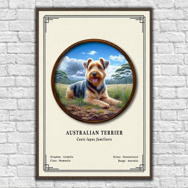 Australian Terrier Zoology Series Poster (Creator Uploaded)