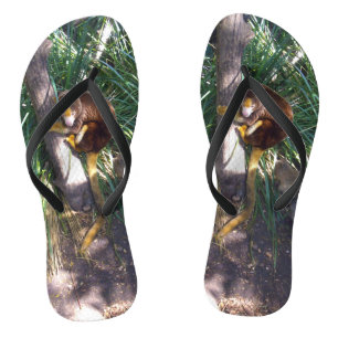 Australian Tree Kangaroo,  Flip Flops