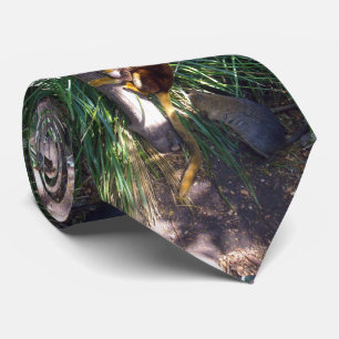 Australian Tree Kangaroo, Neck Tie