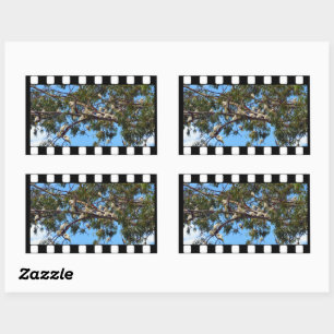Australian Vintage Cockatoos Photo, Rectangular Sticker