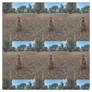 Australian Wallaby Holding A Stick, Fabric