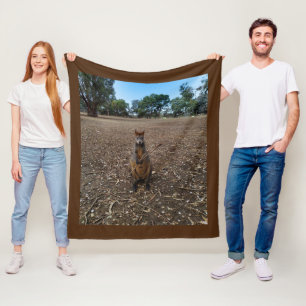 Australian Wallaby Holding A Stick, Fleece Blanket