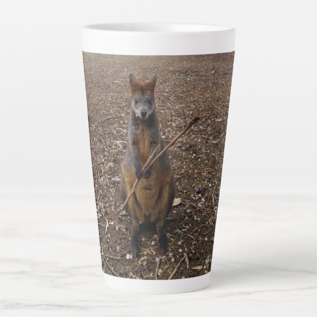 Australian Wallaby Holding A Stick,   Latte Mug (Front)