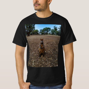Australian Wallaby Holding A Stick, T-Shirt
