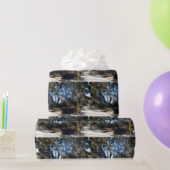Australian Wallaby Road, Gift Wrap Paper (Party Gifts)