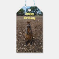 Australian Wallaby Stick Eater, Birthday Gift Tags
