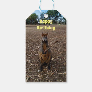 Australian Wallaby Stick Eater, Birthday Gift Tags
