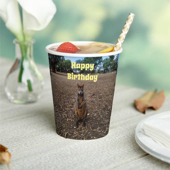Australian Wallaby Stick Eater,  Paper Cups (Insitu)