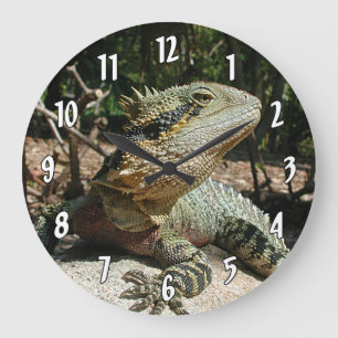 Australian Water Dragon Large Clock
