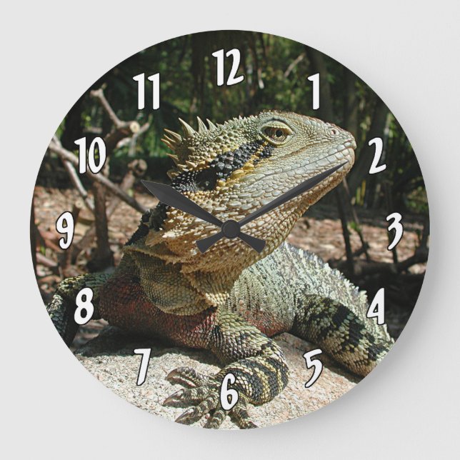 Australian Water Dragon Large Clock (Front)