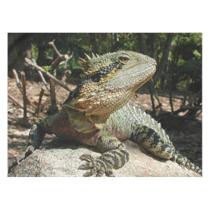 Australian Water Dragon Tablecloth