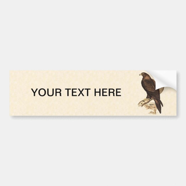 Australian Wedge Tailed Eagle. Huge Bird of Prey. Bumper Sticker (Front)