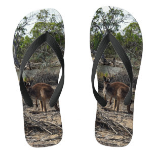 Australian Wild Bush Kangaroo, Flip Flops