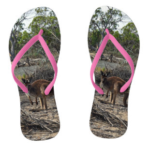Australian Wild Bush Kangaroo, Flip Flops