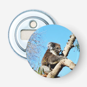 Australian Wild Koala Bear, Bottle Opener