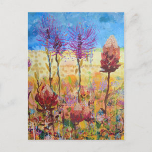 Australian wildflower art holiday postcard