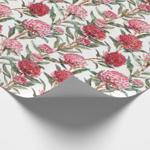 Australian Wildflower Waratah Flower