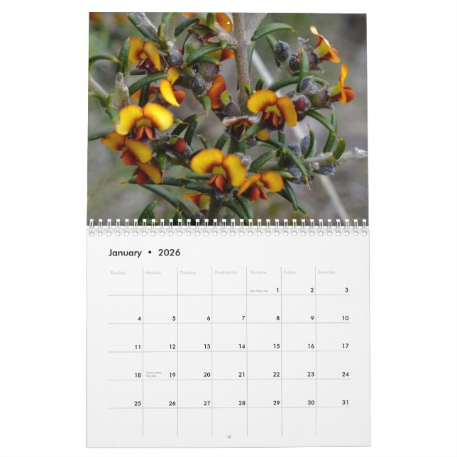 Australian wildflowers calendar (Jan 2026)