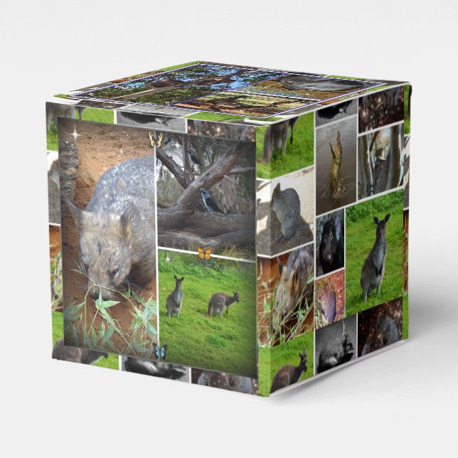 Australian Wildlife Collection, Favour Box (Front Side)
