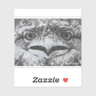 Australian Wildlife, Nature's Curmudgeon, Animal