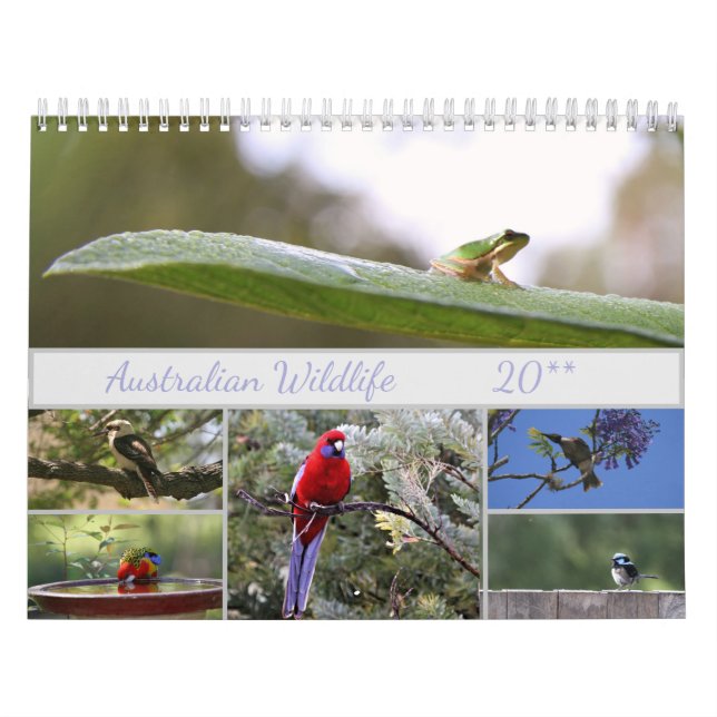 Australian Wildlife Photography Motivational Calendar (Cover)