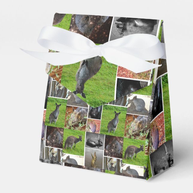 Australian Wildlife Picture Collage, Favour Box (Front Side)