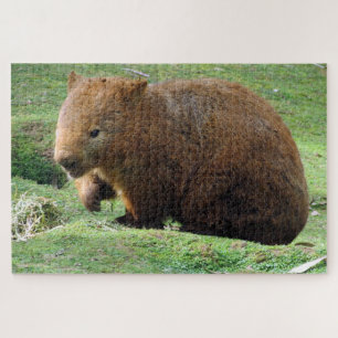 australian wombat jigsaw puzzle