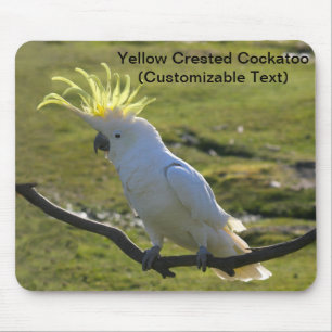 Australian Yellow Sulphur Crested Cockatoo Mouse Mat