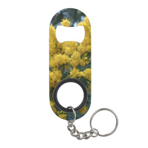 Australian Yellow Wattle Tree, 